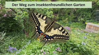 Der Weg zum insektenfreundlichen Großstadt-Reihenhausgarten.