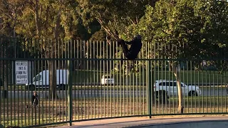 front flip to fence (nathan angle) - 980054-2