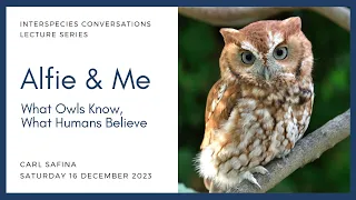 Alfie & Me: What Owls Know, What Humans Believe, with Carl Safina