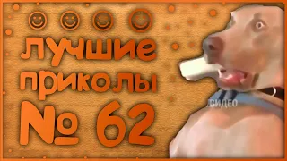 Лучшие приколы 62😂 очень смешные приколы 😂 10 минут смеха 😂 подборка приколов 😂 приколы 2019 год