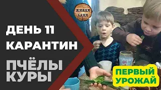 День 11 Мы дома! Бояринцевы. Пчелы, куры, а так хотелось в Лувр... //Живая Баня Иван Бояринцев