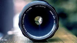 The BEST Budget Macro Lens - PENTAX SMC TAKUMAR 50mm Macro F4