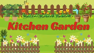 Fun Kitchen Garden Adventures for Kids: Learning, Growing, and Exploring #kidsshortsvideo #education