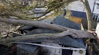 Ontario wind storm leaves at least two dead