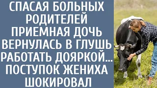 Спасая больных родителей приемная дочь вернулась в глушь работать дояркой… Поступок жениха шокировал