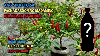 EPEKTIBONG PAMPARAMI NG MGA BULAKLAK AT BUNGA