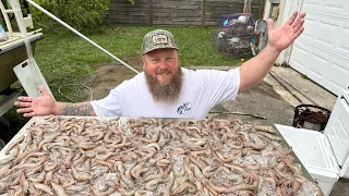 THOUSANDS of SHRIMP by hand net!!! 🦐 {Catch, Clean and Cook}