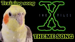 Cockatiel whistle training - The x files theme song [COCKATIEL SINGING]