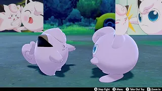 Jigglypuff & Clefairy Fighting In Camp (with annotations & Jerry chants) - Pokemon Sword & Shield