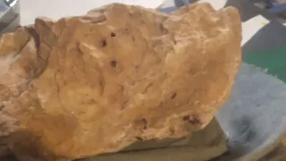 weird looking rock. @deangelojuan4337