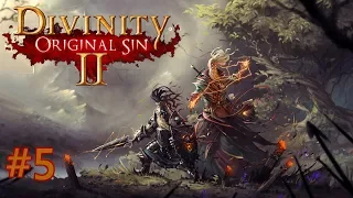 Co-op Divinity: Original Sin 2 | Part 5 | "Fighting Back"