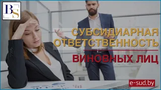 Субсидиарная ответственность  виновных лиц