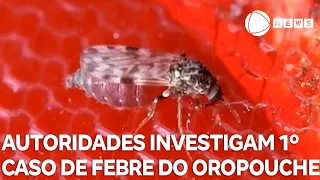 Autoridades investigam 1º caso de febre do Oropouche no Brasil