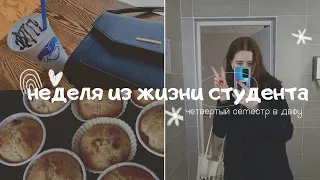 Vlog | Моя неделя в ДВФУ: учёба, неделя добра, поездка в Реми