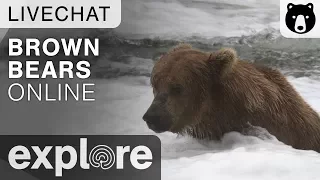 Mike Fitz Presentation - Brown Bears Live Chat 11/16/17