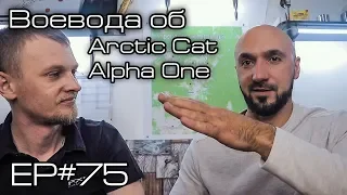 Воевода об Arctic Cat Alpha One. Ep#75