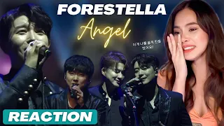 FORESTELLA -Angel |포레스텔라 (강형호, 고우림, 배두훈, 조민규) / Forestella Mystique Live| this made me cry!!🥺