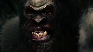 TOP 5 BIGFOOT ATTACKS RECORDED IN HISTORY.