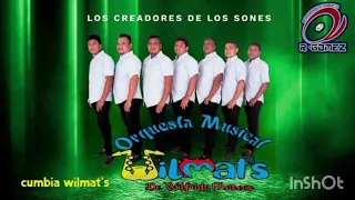 wilmat's musical - sentimental cumbia wilmats 2023