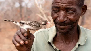 Successful honey-hunters know how to communicate with wild birds