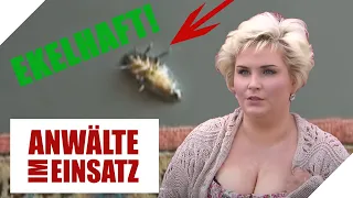 Wahnsinn: Matthias' Ex Carmen setzt KAKERLAKEN in seiner Wohnung aus🤢| 1/2 |Anwälte im Einsatz SAT.1