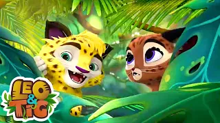 Leo and Tig - A Game For A Rhinoceros (Episode 40) 🦁 Cartoon for kids Kedoo Toons TV