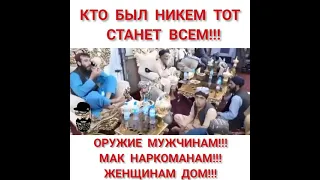 Талибы чилят во дворце. - Оружие мужчинам! Мак наркоманам! Женщинам дом!