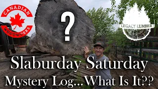 Slaburday Saturday - What Is This Mystery Log?