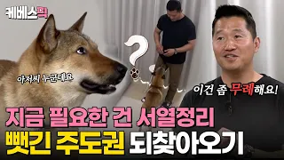 [#개는훌륭하다] 서열이 중요한 반려견과 약한 보호자! 뒤집힌 서열을 바로잡기 위한 '진짜' 블로킹 훈련 ｜KBS 240506 방송