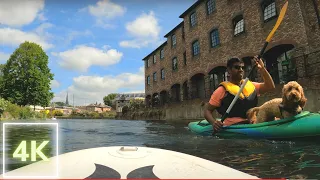 Chichester canal tour on a Stand Up Paddleboard #SUP, Nature chill swimming 4K, Sounds of nature 🌿💦