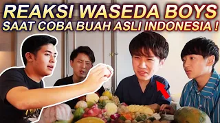 REAKSI WASEDA BOYS MAKAN BUAH ASLI INDONESIA YANG GAK ADA DI JEPANG !