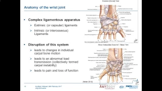 [Webcast] - Development of a biomechanical model of the wrist joint for patient-specific modeling