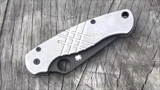 Spyderco Paramilitary 2  Knife (Titanium Handle Scales)
