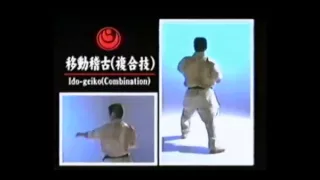 Karate - Ido Geiko (Line drills and combinations)