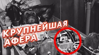 Крупнейшая АФЕРА в истории! ФАКТЫ!