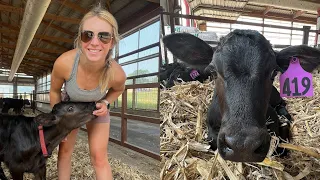 My Favorite Place on the Farm! | Calf Barn Tour