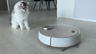 First time meeting a robot vacuum