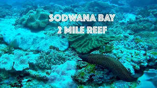 Scuba Diving Sodwana Bay