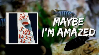 Maybe I'm Amazed (Lyrics) by Paul McCartney