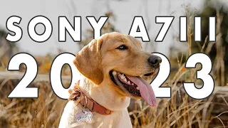 BUY THE SONY A7iii IN 2023...BUT THERE IS ONE ISSUE...