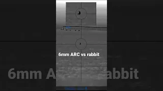 6mm ARC vs rabbit  #hunting #thermal #rabbit #pulsar