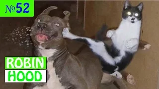 ПРИКОЛЫ 2017 с животными. Смешные Коты, Собаки, Попугаи // Funny Dogs Cats Compilation. Март №52