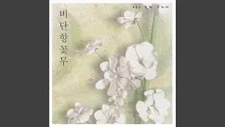 비가