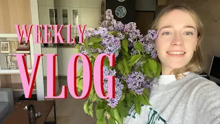 WEEKLY VLOG 🌸 MIERZYMY // DIUNA 2