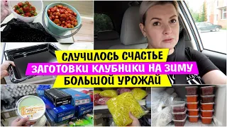 ПЕРЕКРЫЛИ Дорогу / Случилось СЧАСТЬЕ / Заготовка КЛУБНИКИ на ЗИМУ / БОЛЬШОЙ Урожай / Vika Siberia