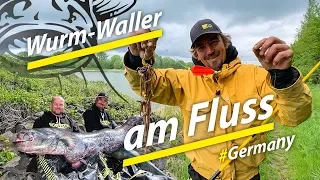 Welsangeln in Deutschland | Wurm-Waller am Fluss | Radau-Macher Montage by Stefan Seuss