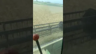 Wheat Harvest 2022