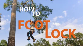 How to Foot Lock climb a tree