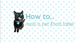 How To Read Cat Food Labels | Reading Cat Food Labels: Ingredients, Nutrition, And More