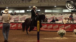 Gran Campeonato De Yeguas De Paso Fino, 1ra Expo Paso Fino, Asdesilla 2016